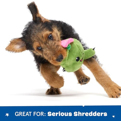 Barkbox 2 in 1 Interactive Plush Dog Toy - Rip and Reveal Toy for Dogs and Puppies - Stimulating Squeaky Pet Toys | Consuela Cactus (Small) - color: Consuela - Small, size: Small Dog