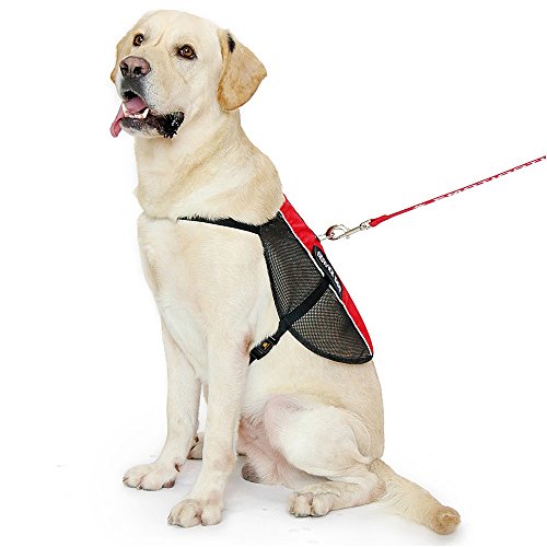 PLUTUS PET Service Dog Vest with 2 Removable Patches, Light Weight and Breathable Mesh Service Animal Harness,Perfect for Summer and Hot Days,Red,L,Girth 26.7-31.5" - size: L( 26.7-31.5" Girth)