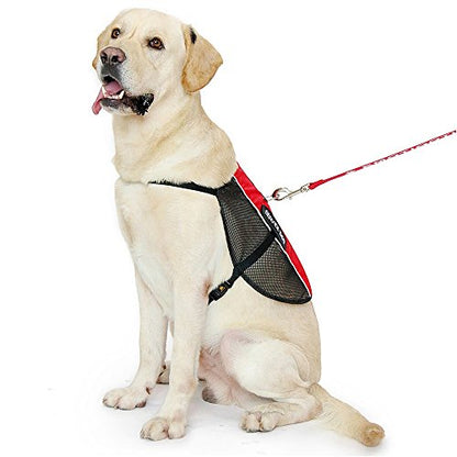 PLUTUS PET Service Dog Vest with 2 Removable Patches, Light Weight and Breathable Mesh Service Animal Harness,Perfect for Summer and Hot Days,Red,L,Girth 26.7-31.5" - size: L( 26.7-31.5" Girth)
