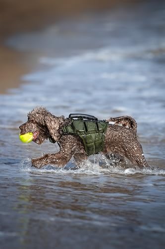 NOAH & PAW Dog Life Jacket, Human Standards Lifejacket Design, Dog Life Vest for Swimming and Boating, 3X Foam Support for Max Floating, Breathable Mesh, Salvavidas para Perros, Size XS - size: XS
