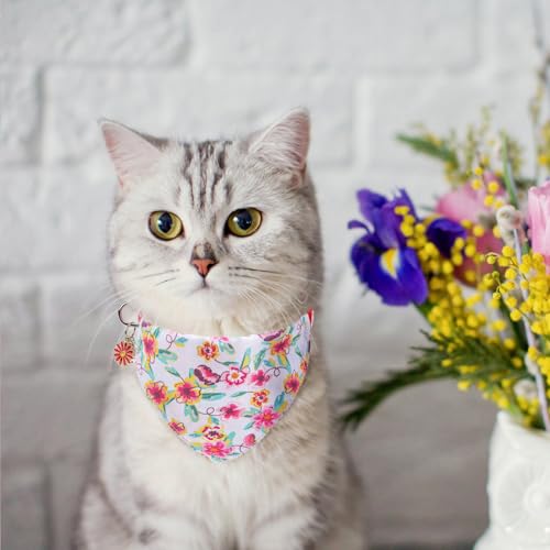 SCENEREAL Spring Cat Collar Breakaway with Bells, 2 Pack Cute Flower Pet Collar with Removable Bow Tie and Bandana, Adjustable Safety Buckle with Daisy Pendants for Girl Cats Kitten - color: Bandanas & Bow (Floral-White)