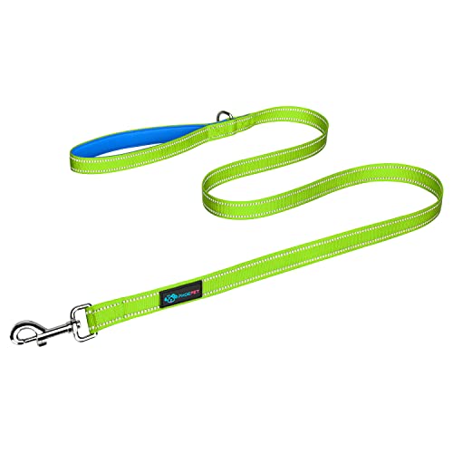 PHOEPET 5 Feet Dog Leash - Dual-Side Reflective - Soft Padded Handle - Fit for Walking, Training or Exploring Hiking, Camping (Green + Blue Base) - color: Green + Blue Base