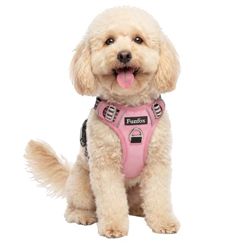 Funfox Dog Harness No Pull, Adjustable Pet Vest Harness, Super Soft Material with Vertical Handle Easy Control, Reflective Night Walking, 2 Leash Clips for Small Sized Dogs, Pink, S - color: Pink, size: Small