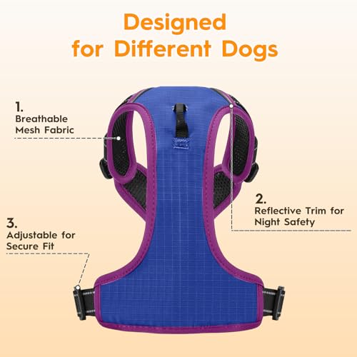 No Pull Dog Harness, No Chock Reflective Adjustable Soft Padded Pet Vest with Easy Control Handle, Easy Wearing with Stylish, Reinforced Knot, 2 Buckles - color: Blue/Purple, size: X-Small