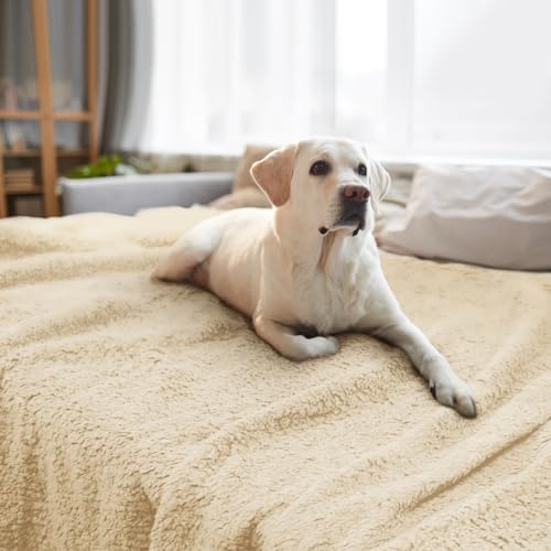furrybaby Dog Blanket Soft Dog Blankets for Large Dogs Puppy Essentials Washable Sherpa Fleece Cat Blanket 59x78 Inches for Bed Furniture Couch Sofa (Jumbo, Beige) - color: Beige Blanket, size: 59x78in (pack of 1)