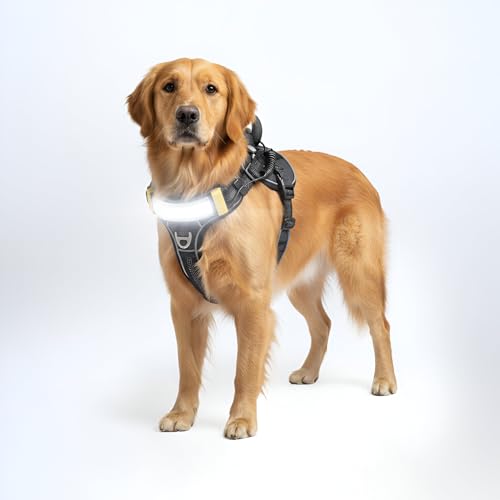 Lumi One LED Dog Harness for Night Visibility and Safety, Patent Pending – High-Visibility Light-Up Dog Vest with 1000 Lumen LED, Rechargeable Battery, Adjustable Fit, Reflective Trim (Black, Large) - color: Black, size: Large
