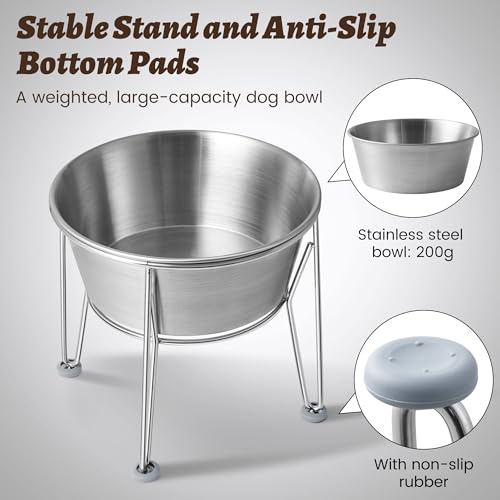 Elevated Dog Bowls for Medium&Small Dogs - Stainless Steel 48oz/6 Cups Raised Feeder with Non-Slip Base, Dual Food & Water Bowls 2-Pack - color: Raised Bowl, size: 6 Cups