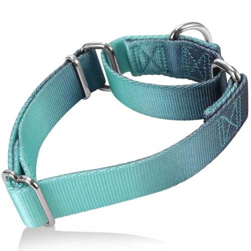 Martingale Dog Collar Colorful Gradient Fashionable - Anti-Escape Soft Durable Pets Collar for Walking Training Outdoor Daily Use -Medium, Teal Gradient - color: Teal Gradient, size: Medium: 14" -21"