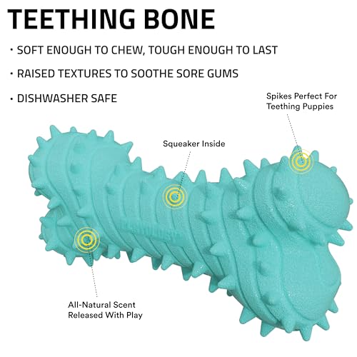 Playology Dog Toys | Teething Bone for Large Puppies and Young Dogs | Peanut Butter Scented Jumbo Dog Bone Chew Toy | Teething Puppy Essentials - size: Jumbo, style: Peanut Butter