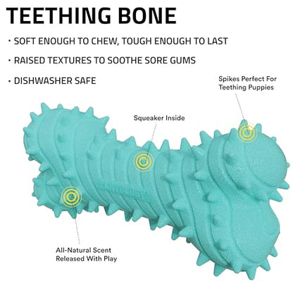 Playology Dog Toys | Teething Bone for Large Puppies and Young Dogs | Peanut Butter Scented Jumbo Dog Bone Chew Toy | Teething Puppy Essentials - size: Jumbo, style: Peanut Butter