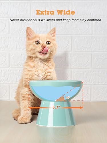 LoeJan Elevated Cat Food and Water Bowls Set, Extra Wide and Raised Ceramic Feeder, Anti-Vomit Whisker-Free Pressure Feeding Bowl for Kittens Adult Small Dogs (Blue) - color: Blue, size: Single (Water Bowl)