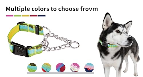 Martingale Dog Collars with Stainless Steel Chain, Reflective No Pull Walking Training Collar with Quick Release Buckle, Adjustable Slip Chain Nylon Dog Collars for Small Medium Large Dogs - color: Green and blue, size: Medium