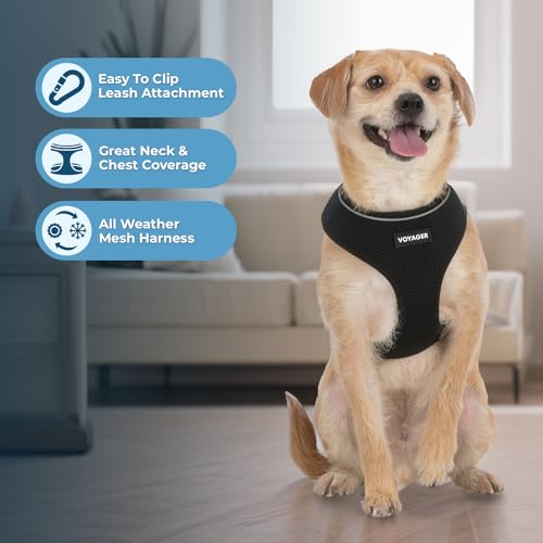 Voyager Aerolite Over The Head Dog Harness, No Pull Breathable Air Mesh Vest, Quick Dry with Reflective Stitching, Adjustable Escape Resistant Harness for Small Medium Large Dogs - Black, Medium - color: Black, size: M