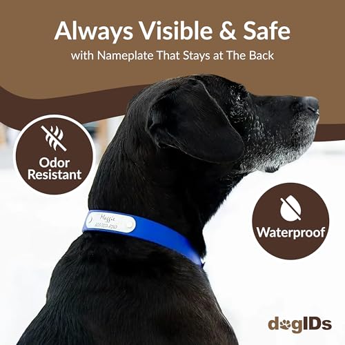 dogIDs Personalized Dog Collar – Custom Waterproof Soft-Grip Biothane with Laser-Engraved Nameplate, Durable & Odor-Resistant, USA Made | Blue, 1 in x 16 in (Fits Necks Size 14-18 in) - color: Blue, size: 1 in x 16 in (Fits Necks Size 14-18 in)