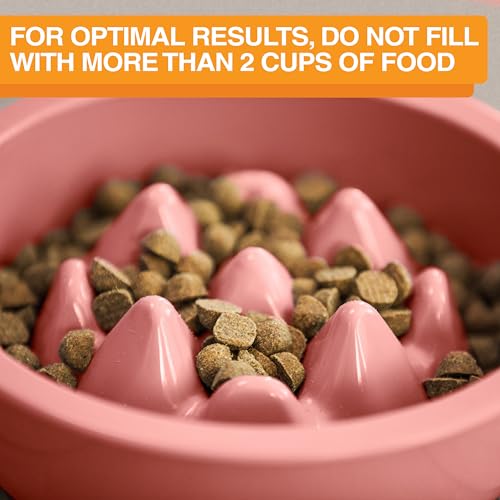 The Niner Slow Feed Bowl - Raised Peaks Slow Down Pets Eating - Fits Elevated Feeders Including Neater Feeder Large Sizes - Gentle on Teeth and Gums - Holds up to 2 Cups (Pink) - color: Pink