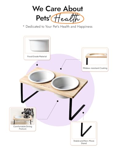 Elevated Dog Bowls, Raised Dog Bowl Stand with Two 6.5 inch Ceramic Bowl, Non-Slip Puppy Food and Water Bowls, Dogs Feeder for Small and Medium Breed, White - color: White, size: 6.5inch