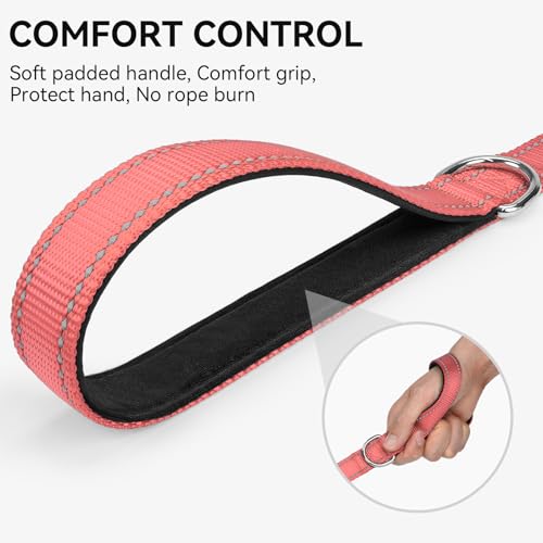 Joytale Dog Leash, 4 FT Double-Sided Reflective, Padded Handle Nylon Heavy Duty Leashes for Small Dogs Walking, Neon Pink - color: Neon Pink, size: 4 ft Narrow