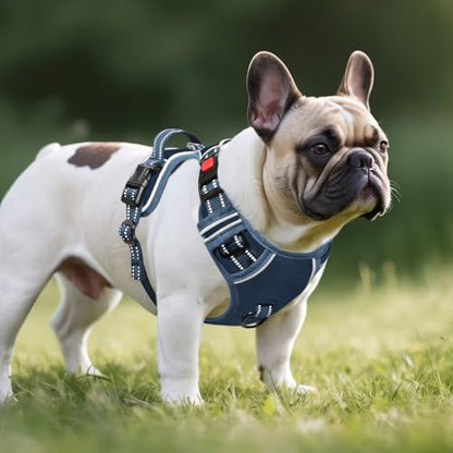 Dog Harness Small Sized, No Pull Pet Harness with Neck Lockable Snap,No Choke Front Clip Dog Reflective Vest,Adjustable Metal Rings 3 Buckles,Easy Control Handle for Small Dogs Royal Blue S - color: Lock Royal Blue, size: Small (Pack of 1)