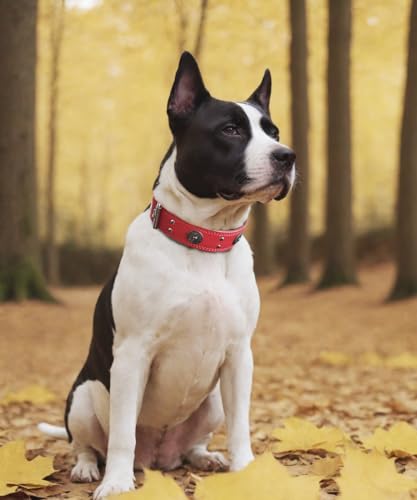 Leather Dog Collar, 2 inches Wide Heavy Duty Genuine Leather Collars, Handmade, Soft, and Luxury, Eye-catching Best Choice for Large and Medium Breed Dogs, Red 15-19 in - color: Red, size: 15-19 in