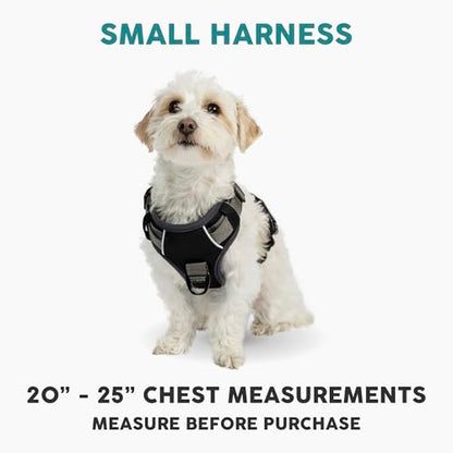 Embark Adventure Small Dog Harness – No-Pull, Reflective Trim, Military-Grade Nylon, Front Clip with Gel-Lined Handle, Soft & Padded - color: Black, size: S
