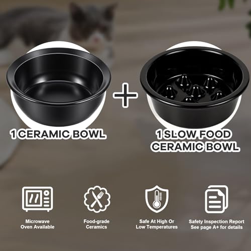 LEAWALK Upgraded Adjustable Height Cat Food Bowls Stand Ceramic Dog Bowls and Slow Feeder Cat Bowl, 15°Tilted Stand Anti Vomiting Raised for Small and Medium Sized Cats Dogs (Black (2 Bowl+Pet mat)) - color: Black ( 2 Bowl+Pet mat)