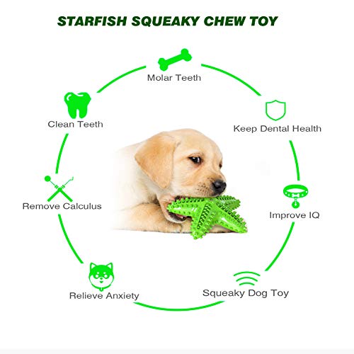 Squeaky Dog Toys - Starfish Natural Teeth Cleaning Toy for Small & Medium Dogs (Green) - color: Starfish Green