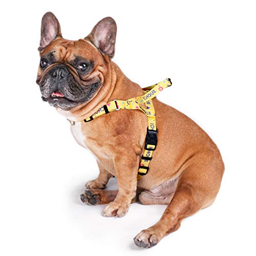 iChoue French Bulldog Harness Adjustable Locked Buckle with Handle for Frenchie Pug English Boston Terrier Dogs, Yellow, Small - color: A Harness Yellow, size: Small ( 5 - 25 lbs )