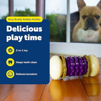 PetSafe Busy Buddy Nobbly Nubbly Treat Holding Dog Toy Strong Chewers Small - size: Small, style: Nobbly Nubbly