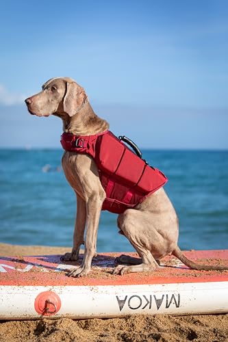 NOAH & PAW Dog Life Jacket, Human Standards Lifejacket Design, Dog Life Vest for Swimming and Boating, 3X Foam Support for Max Floating, Breathable Mesh, Salvavidas para Perros, Size L - size: L