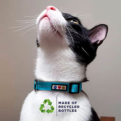 Pawtitas Recycled Orange Reflective Cat Collar – Eco-Friendly Breakaway Safety Buckle, Adjustable Kitten & Adult Collar with Removable Bell and High-Visibility Strap - color: Recycled Orange