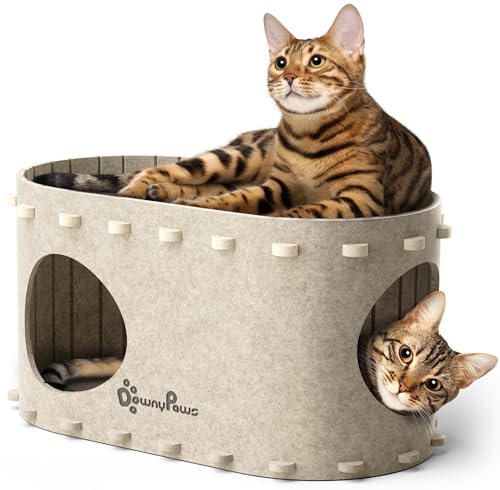 DownyPaws Cat House for Indoor Cats, Cat Bed Cave for Multiple & Large Cats Up to 22 Lbs, Scratch Resistant, Foldable Peekaboo Kitten Caves Tunnel Enclosed Bed, PeekaPurr, Cream - color: Cream, size: Single