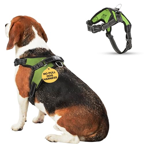 No Pull Reflective Adjustable Dog Harness With Handle- Comfortable Soft All Weather Mesh, Easy On Puppy Harness For Small Medium and Large Dogs (Green) Medium - color: Green, size: Medium