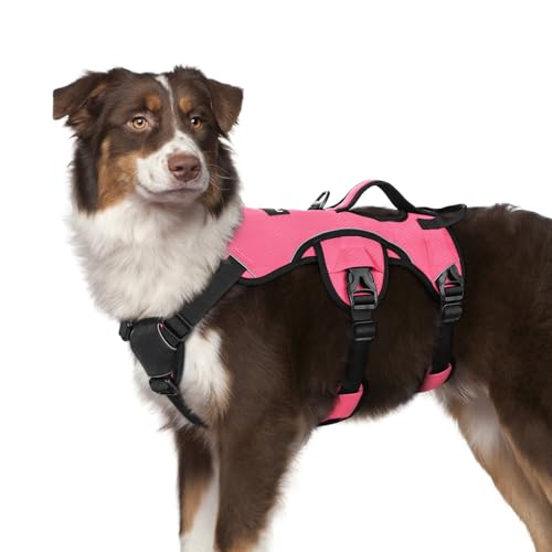 rabbitgoo Escape Proof Dog Harness, Soft Padded Full Body Pet Harness, Reflective Adjustable No Pull Vest with Lift Handle and Leash Clip for Large Dogs Walking Hiking Training, M, Pink - color: Pink, size: Medium (Pack of 1)