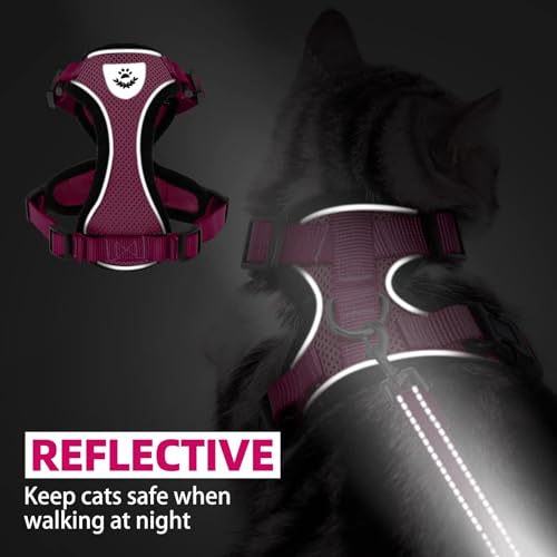 PUPTECK Cat Harness and Leash Set Escape Proof Reflective Cat Walking Harness Adjustable Soft Breathable Mesh Vest for Small Pets, Deep Pink, S - color: Deep Pink, size: S (NECK 9.5"-11", CHEST 13"-16")