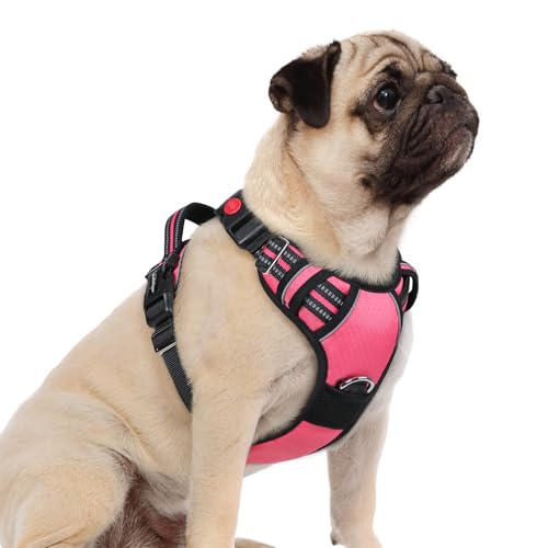 rabbitgoo Dog Harness Small Sized, No Pull Dog Vest with 3 Buckles, Adjustable Soft Padded Pet Harness with Easy Control Handle and Reflective Strips, Pink, S - color: Pink, size: Small