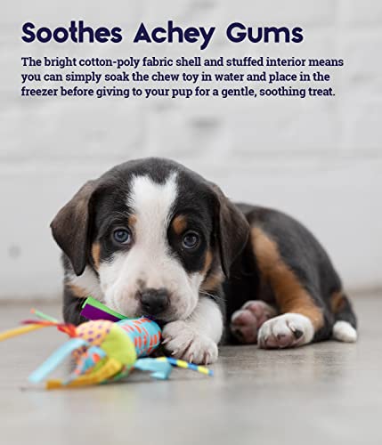 Cool Teething Stick – Puppy Chew Toy for 0–6 Month Puppies, Teething Relief, Freezable & Durable - color: Teething Stick