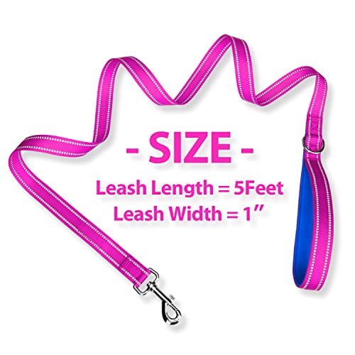 PHOEPET 5 Feet Dog Leash - Dual-Side Reflective - Soft Padded Handle - Fit for Walking, Training or Exploring Hiking, Camping (Pink + Royal Blue Base) - color: Pink + Royal Blue Base