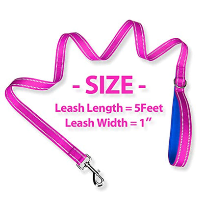 PHOEPET 5 Feet Dog Leash - Dual-Side Reflective - Soft Padded Handle - Fit for Walking, Training or Exploring Hiking, Camping (Pink + Royal Blue Base) - color: Pink + Royal Blue Base