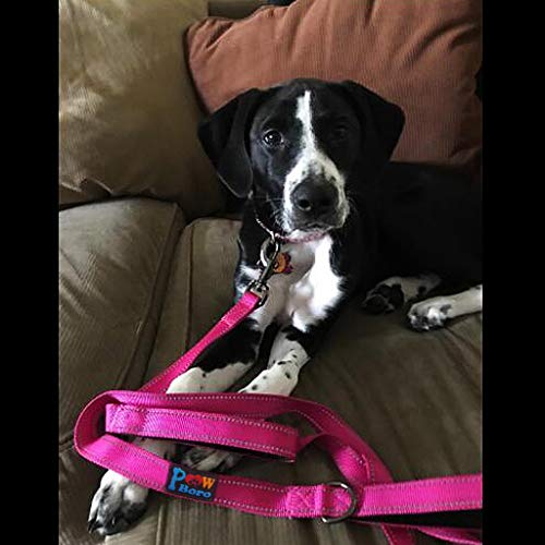 Powboro Double Handle Dog Leash, Heavy Duty Leash, Traffic Padded Handle, Reflective Stitching,6ft Long Dog Lead for Control All Dog Safety Training Walking Hiking (Rose Pink) - color: Rose Pink