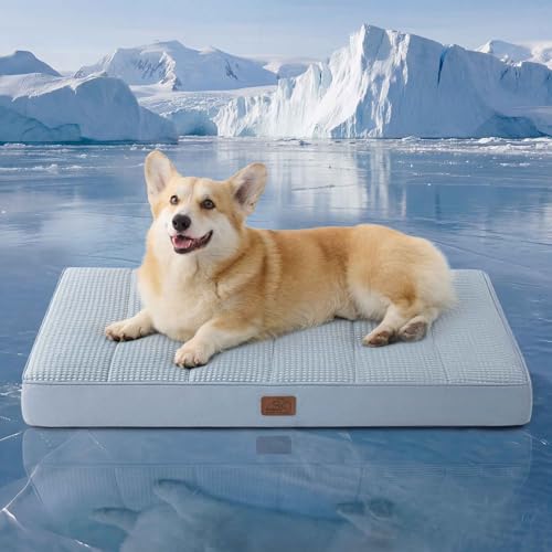 Bedsure Orthopedic Cooling Dog Bed for Crate - 35x22 Inches Large Comfy Breathable Summer Beds with Removable Washable Cover, Cold Flat Egg Crate Foam Pet Mat, Suitable for Pet Up to 50 lbs - color: Cooling Blue, size: 35"L x 22"W x 3"Th