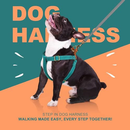 Didog Step in Dog Harness with Metal Buckles, Freedom Nylon Dog Halter Vests for Small Dogs Easy Walking Training(S:Chest 13-22", Blue) - color: Blue, size: S: Chest 14-22", Fit 7-18 lbs