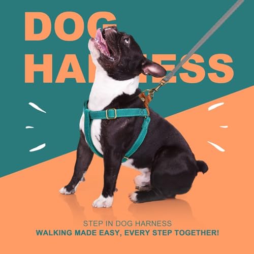 Didog Step in Dog Harness with Metal Buckles, Freedom Nylon Dog Halter Vests for Medium Dogs Easy Walking Training(M:Chest 19-28", Blue) - color: Blue, size: M: Chest 19-28", Fit 15-30 lbs