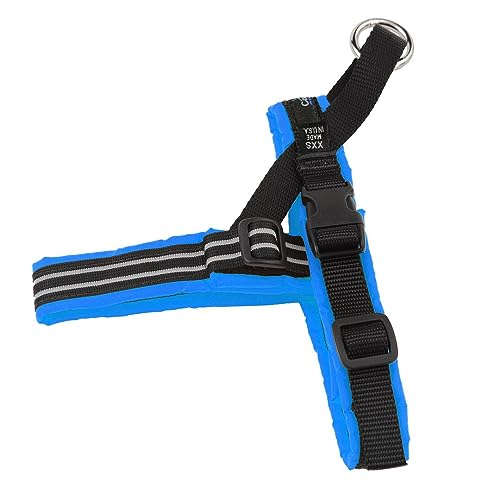ComfortFlex Sport Dog Harness – No-Choke, Fully Padded, Non-Chafing Harness with Control Handle – Reflective, Lightweight, Adjustable for Active Dogs - XXSmall, Blue Jay - color: Blue Jay, size: XX-Small