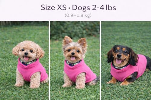 JACKO & CO - Fleece Vest Dog Sweater with Leash Ring - Soft, Warm & Lightweight Pullover Coat for Small & Medium Dogs, Puppies & Cats - Cozy Fall/Winter/Spring Pet Jacket (Pink, XS (2-4lbs)) - color: Pink, size: XS (2-4lbs)