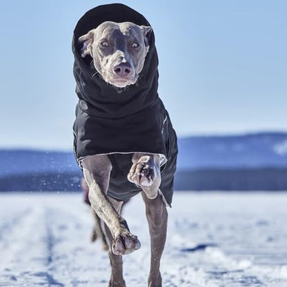 Hurtta Extreme Warmer III ECO, Cold Weather Winter Dog Coat, Raven, 16 in - color: Raven, size: 16 in