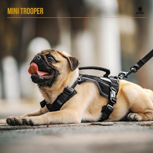 OneTigris Dog Harness Extra Small Puppy Harness, No-Pull Dog Leash Set, Adjustable Soft Padded Vest, No-Choke Pet Vest with Easy Control Handle for Small Dogs(Black, XXS) - color: Black, size: XXS