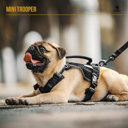 OneTigris Dog Harness Extra Small Puppy Harness, No-Pull Dog Leash Set, Adjustable Soft Padded Vest, No-Choke Pet Vest with Easy Control Handle for Small Dogs(Black, XXS) - color: Black, size: XXS