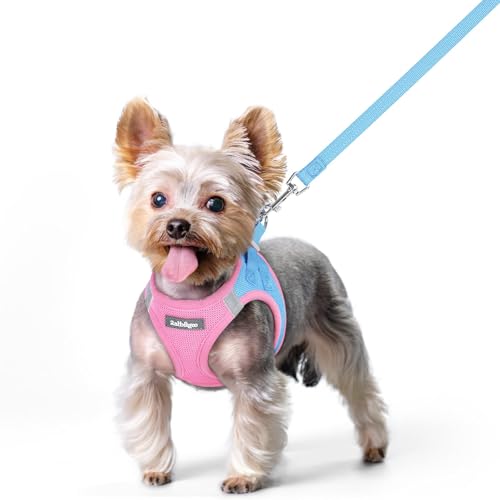 rabbitgoo Dog Harness Small Sized and Leash Set, Step in Soft Light Puppy Vest, Breathable Mesh Pet Harness, Reflective for Safe Easy Walking, Blue & Light Pink XS - color: Blue & Light Pink, size: Xs (chest: 13.3 - 15.5")
