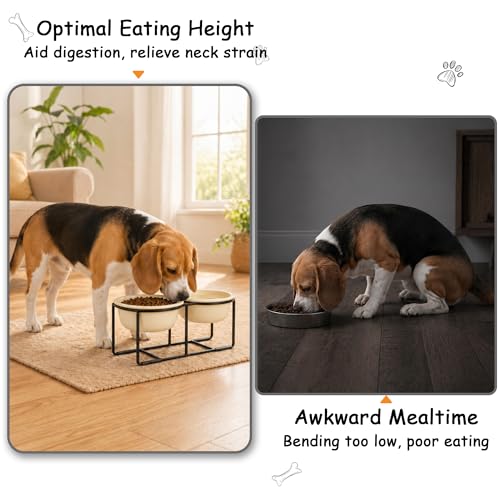 Ceramic Elevated Dog Bowl Set - Raised Food and Water Bowls with Metal Stand - Double Pet Dishes for Small and Medium Dogs - 3 Cups - 24.3 fl oz - Beige - color: Beige, size: L-400ml
