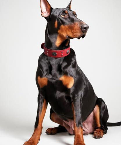 Leather Dog Collar, 2 inches Wide Heavy Duty Genuine Leather Collars, Handmade, Soft, and Luxury, Eye-catching Best Choice for Large and Medium Breed Dogs, Red 15-19 in - color: Red, size: 15-19 in